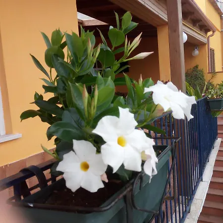 La Pina Hotell 3*
