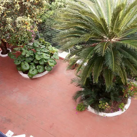 La Pina Hotell 3*